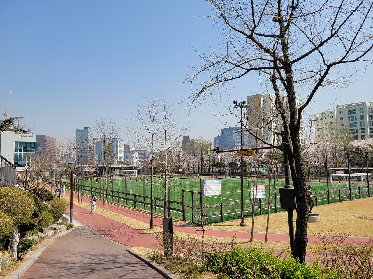 中表示 中表示