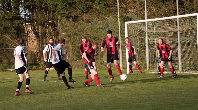 取得优异的 取得优异的