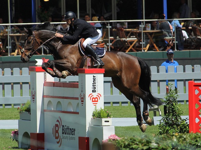 曼与他们的 曼与他们的