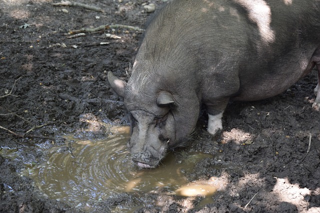 州來說意義 州來說意義