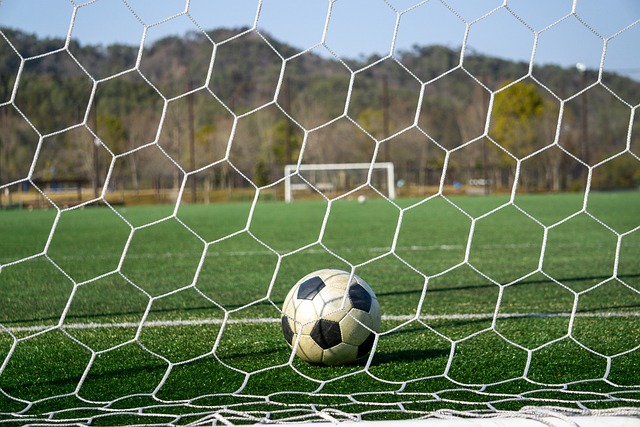 外交部亚洲 外交部亚洲