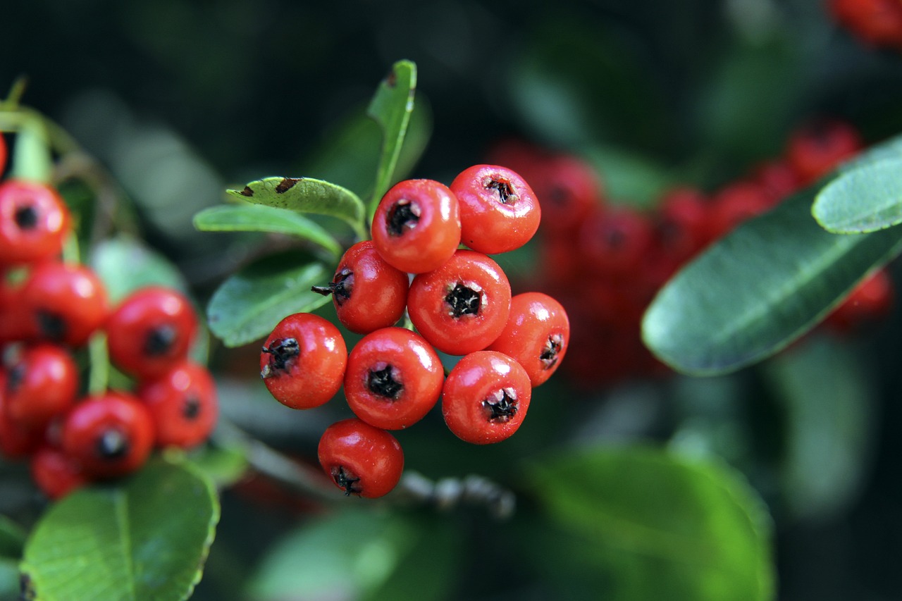 更代表着他 更代表着他